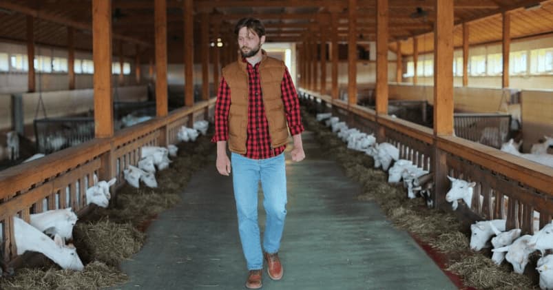 imprenditore agricolo a titolo principale