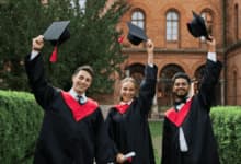 cosa studiare per diventare imprenditore