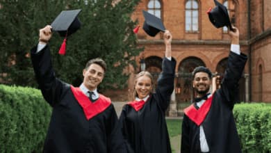 cosa studiare per diventare imprenditore