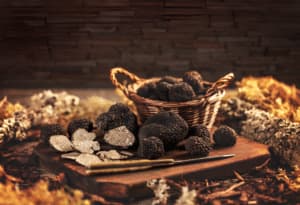Tartufi neri in in un cesto marrone circondato da erbe di diverse sfumature di colore marrone