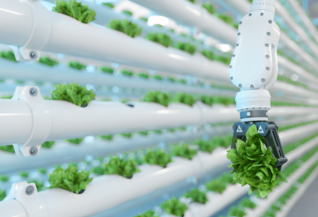 Braccio robotico trasporta un vegetale verde tra scaffali bianchi